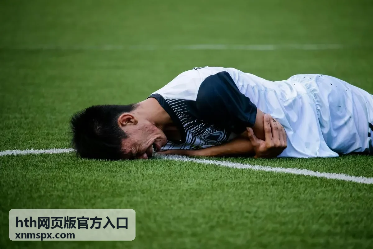 hth网页版官方入口提交反馈说明封面